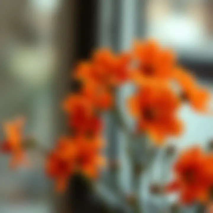 Magnificent Exploring Burnt Orange Artificial Flowers
