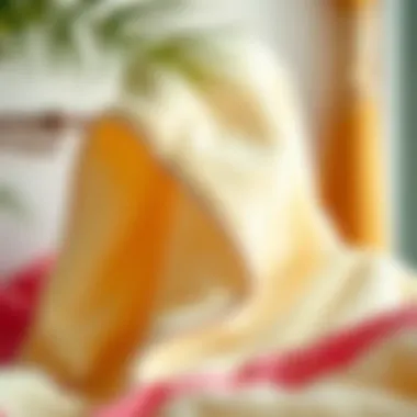 Magnificent Exploring the Concept and Importance of Towels with Elastic