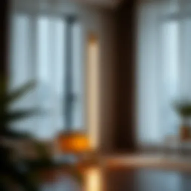 Magnificent The Minimalist LED Floor Lamp: Merging Aesthetics with Functionality