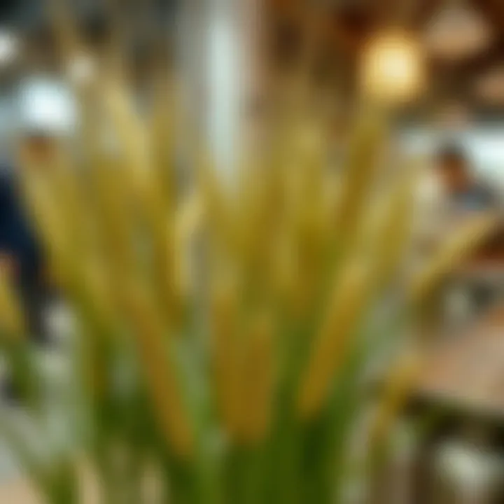 A Comprehensive Exploration of Artificial Wheat Grass Stems in Fashion and Design Summary