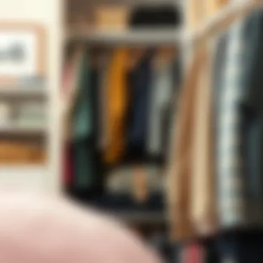 Comprehensive Guide to Closet Blanket Organizers Summary
