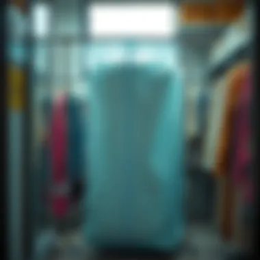 Notable Comprehensive Guide to Vacuum Storage Hanging Bags