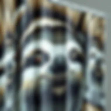 Close-up of a sloth shower curtain showcasing intricate design details