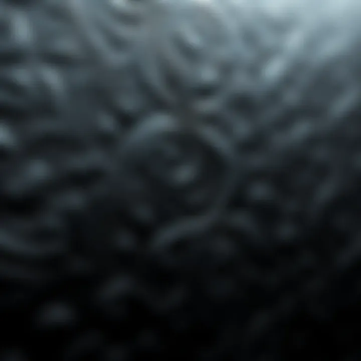 Close-up of textured black self-adhesive wallpaper showcasing intricate patterns