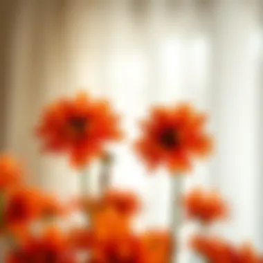 Notable Exploring Burnt Orange Artificial Flowers Notable Exploring Burnt Orange Artificial Flowers
