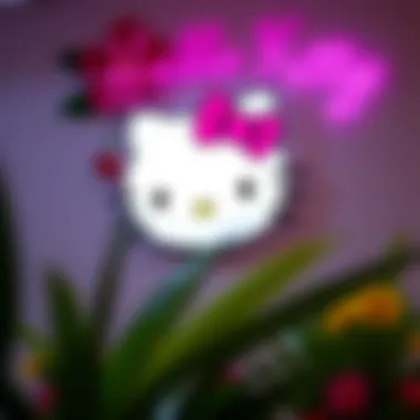 Exploring Hello Kitty Wall Decor: A Comprehensive Guide Summary