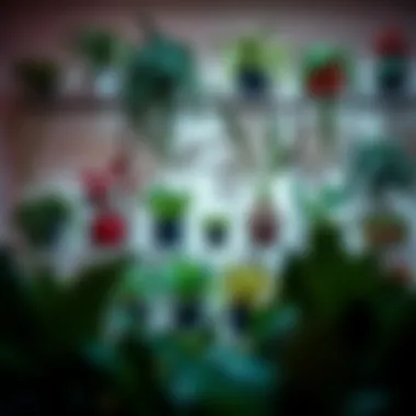 Diverse selection of plants suitable for glass wall planters displayed on a shelf