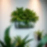 Stylish indoor glass wall planter filled with vibrant green plants