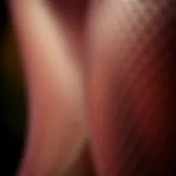 A close-up of skin-coloured fishnet fabric showcasing its intricate patterns.