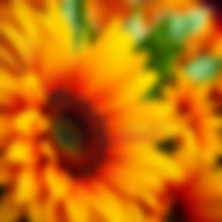 Close-up of vibrant sunflower heat transfer vinyl showing texture and color