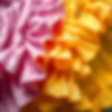 Close-up of fabric textures used in ruffle short sets