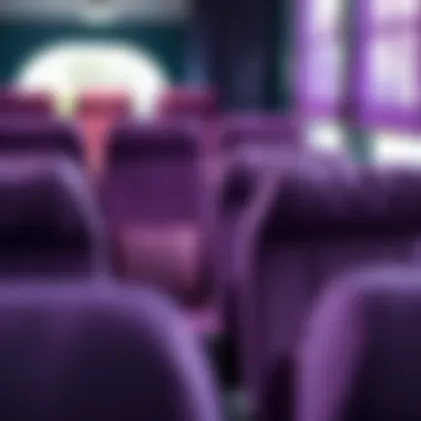 Colorful array of purple seat covers in various materials