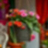 Exploring the Aesthetics and Functionality of Metal Iron Hanging Flower Pots Introduction
