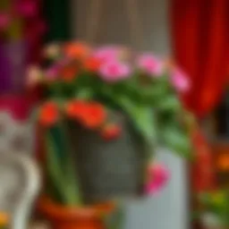 Exploring the Aesthetics and Functionality of Metal Iron Hanging Flower Pots Introduction