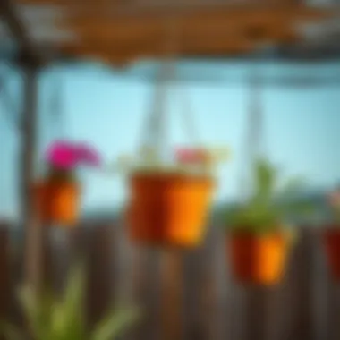 Notable Exploring the Aesthetics and Functionality of Metal Iron Hanging Flower Pots
