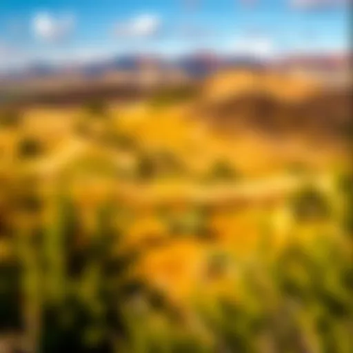 Breathtaking view of a rustic landscape with rolling hills and vibrant foliage