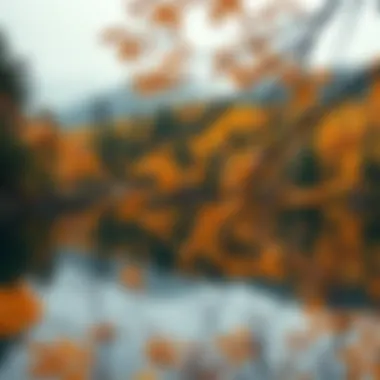 A tranquil lake reflecting a serene forest scene in autumn hues