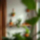 Exploring the Corner Wall Plant Shelf: Functionality Meets Aesthetic Appeal Introduction