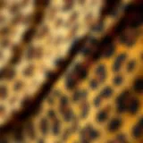 Close-up of leopard print fabric texture
