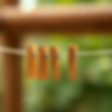 Symbol of Eco-Friendly Practices with Wooden Clothespins Natural wooden clothespins symbolizing eco-friendly practices
