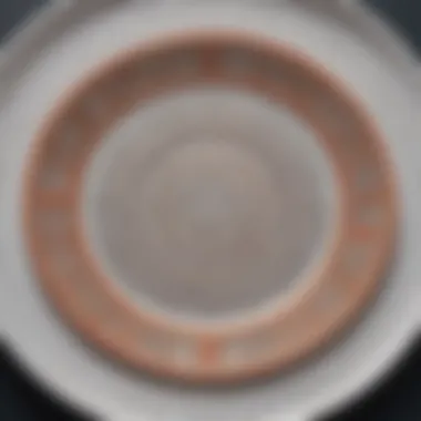 Close-up of intricate design on a plastic charger plate