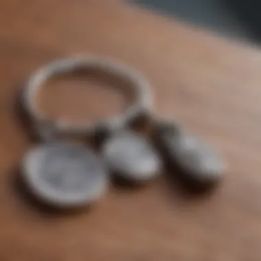 Diverse materials used in matching couple keychains