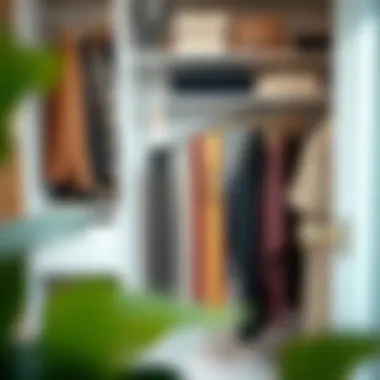 Neatly Arranged Closet A neatly arranged closet featuring a hanging belt organizer