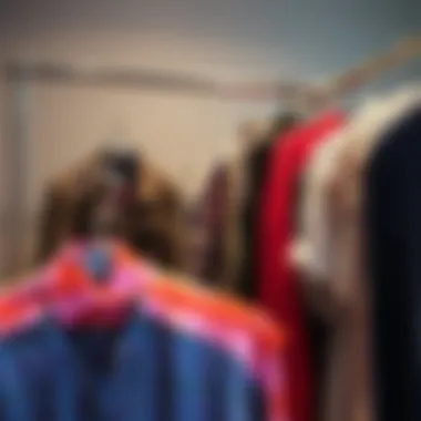 Variety of materials used in hanging clothing storage bags