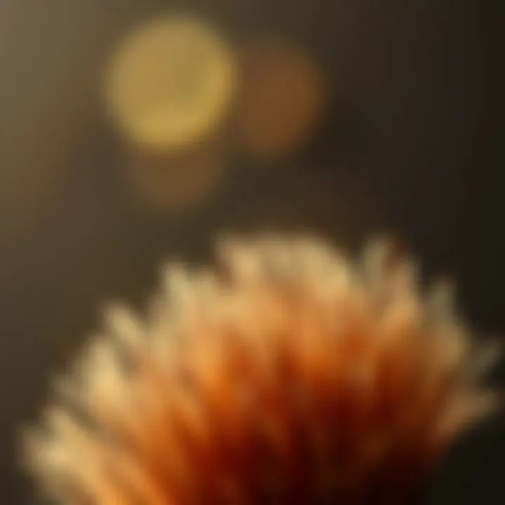 Detailed Features of the Metene Brush Detailed view of the bristles and features of the Metene Brush