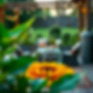 Maintenance tips for preserving outdoor rug longevity