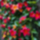 A close-up of vibrant artificial flowers intertwined with a lush green vine.