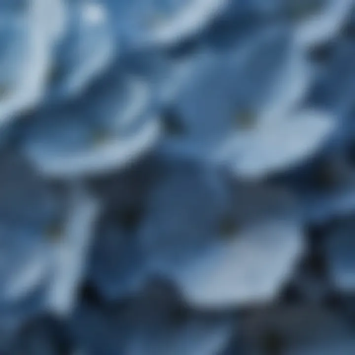 Close-up of blue silk hydrangea petals showing texture and color variation