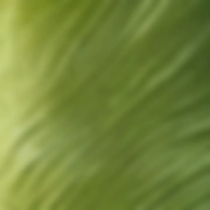 Close-up of the fabric and stitching details of a lime green tankini