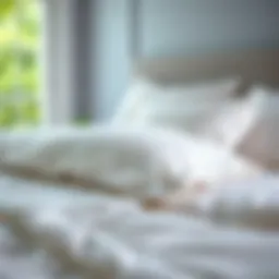 The Comprehensive Guide to Quilted Fitted Sheets Introduction