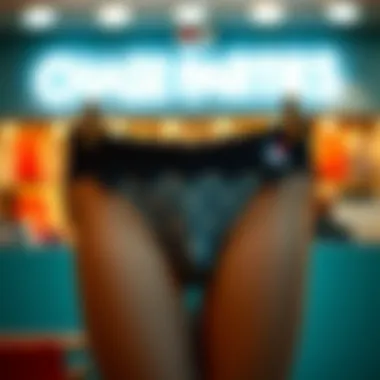 The Evolution and Marketplace of Panties for Sale Online Summary