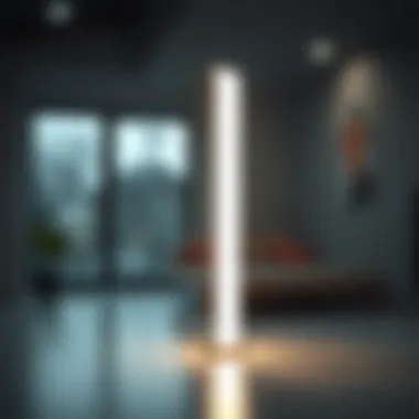 The Minimalist LED Floor Lamp: Merging Aesthetics with Functionality Summary