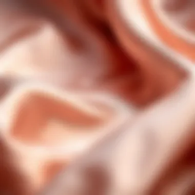 The Allure of Silk Fabric Luxurious silk fabric showcasing its sheen and texture