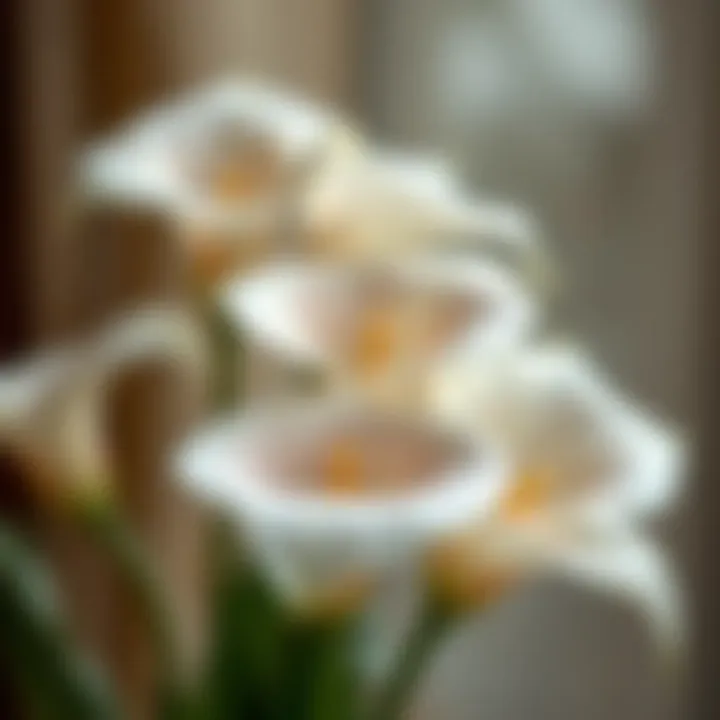 The Sophistication of Calla Lily Fake Flowers Summary