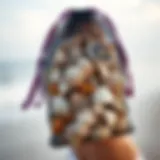 The Utility of Mesh Bags in Shell Collecting Introduction